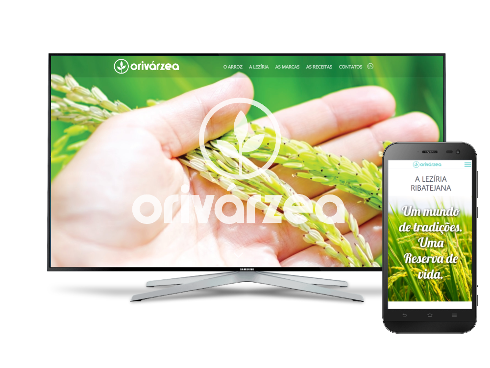 Imagem do projecto: Orivárzea