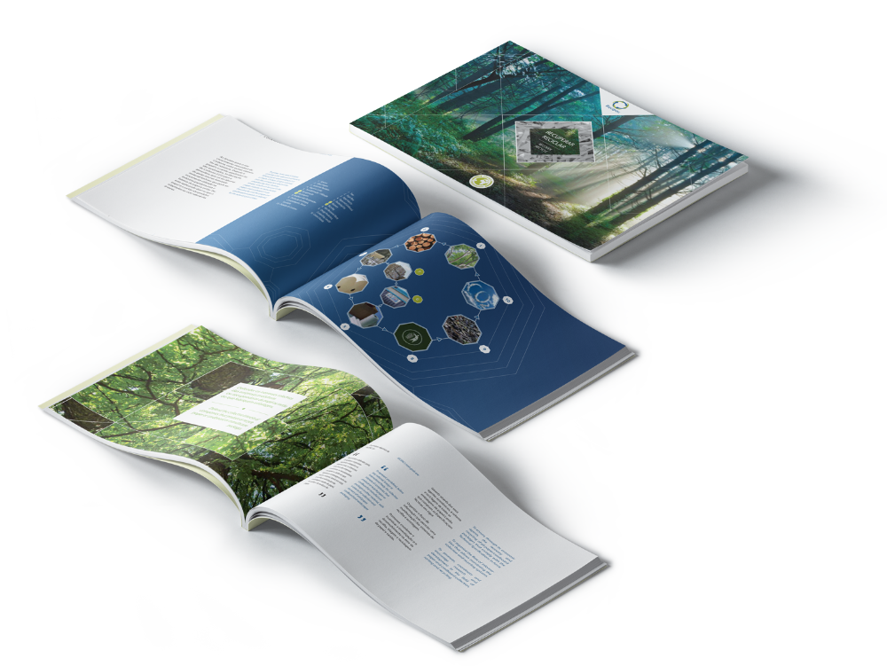 Imagem do projecto: Recipac